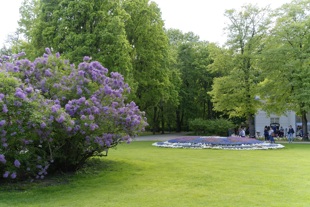 20160509-154111••SrodmieScie•Masovian Voivodeship•Poland